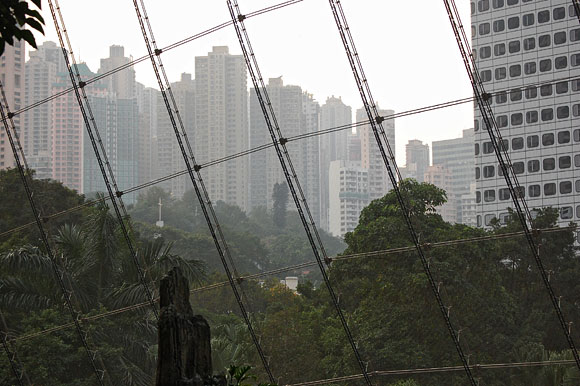 Hong Kong Park Aviary*